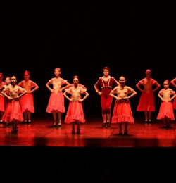 DSC_5421 flamenco